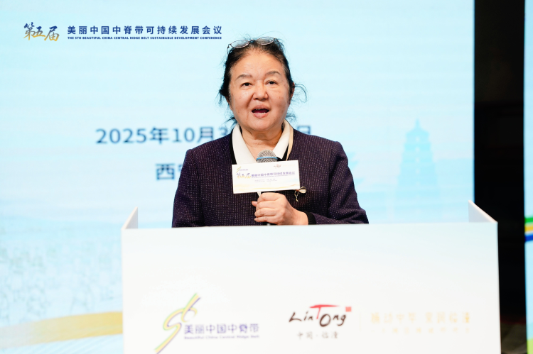 探寻守护文明脉络 专家学者探讨“遗产保护与可持续发展理论技术”_fororder_图片1