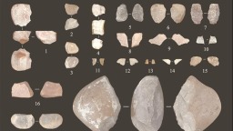 陕西府谷黄河沿岸新发现10处旧石器地点