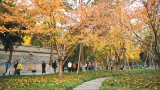 这就是文化传承最美妙的方式