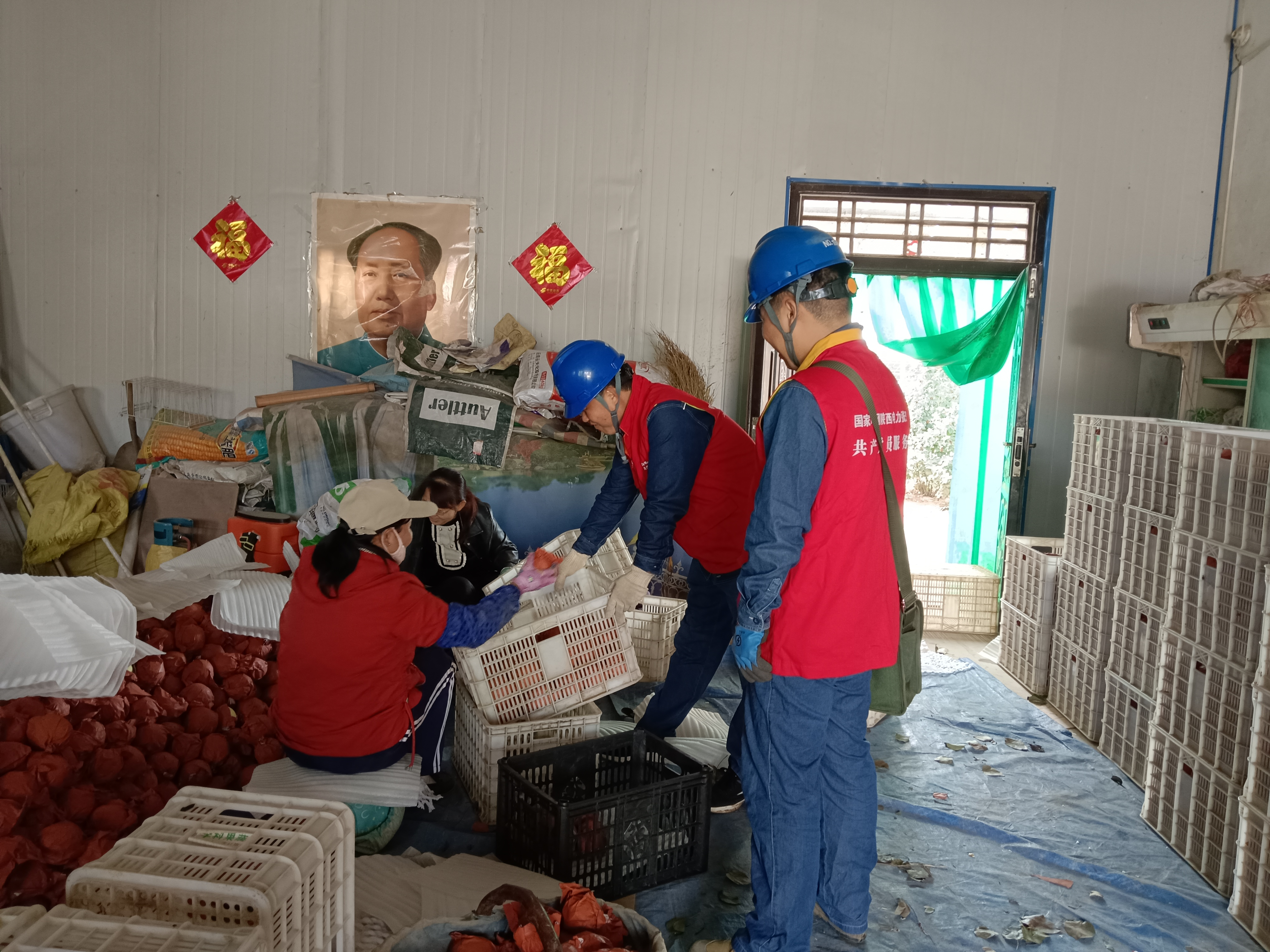 国网渭南供电公司：银线织就甜蜜路 电力护航酥梨香_fororder_图片9
