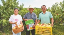 榆林市横山区：老果园长出新希望