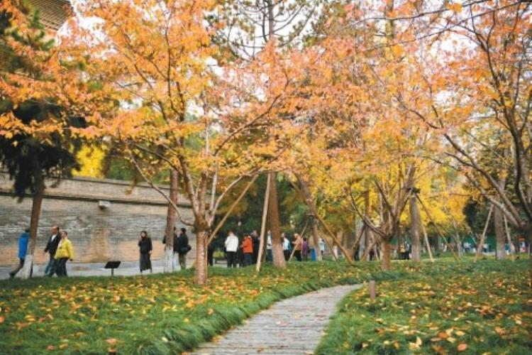 这就是文化传承最美妙的方式_fororder_微信图片_20251113085250_783_356