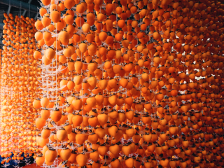 Уезд Фупин города Вэйнань: самое время для осеннего урожая красной хурмы на желтой земле