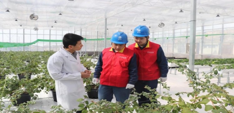 供电更可靠 农民更舒心——国网榆林供电公司服务春耕备耕工作侧记_fororder_图片 2(1)
