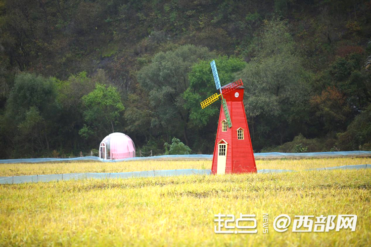 追寻红色足迹 五里桥田园综合体绘就乡村振兴新图景