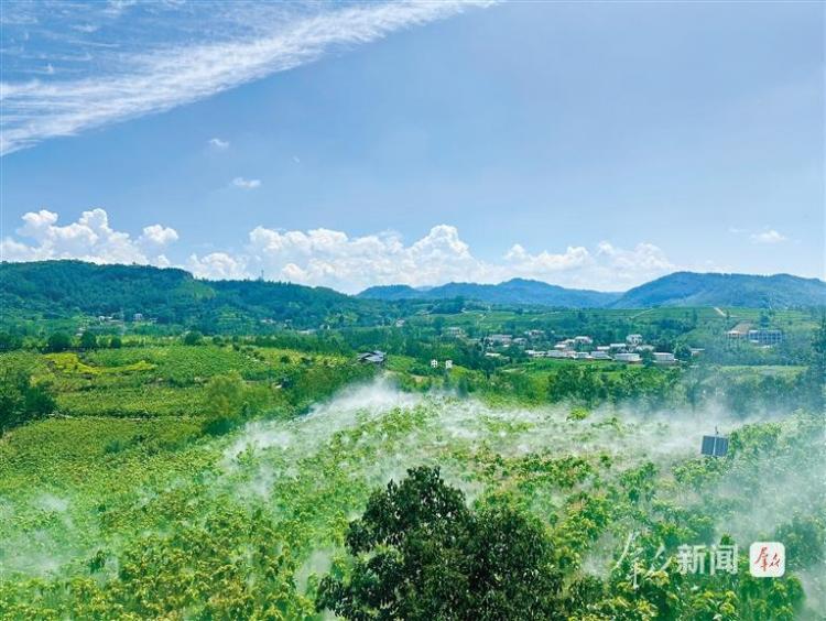 “一根丝”拉长富民产业链