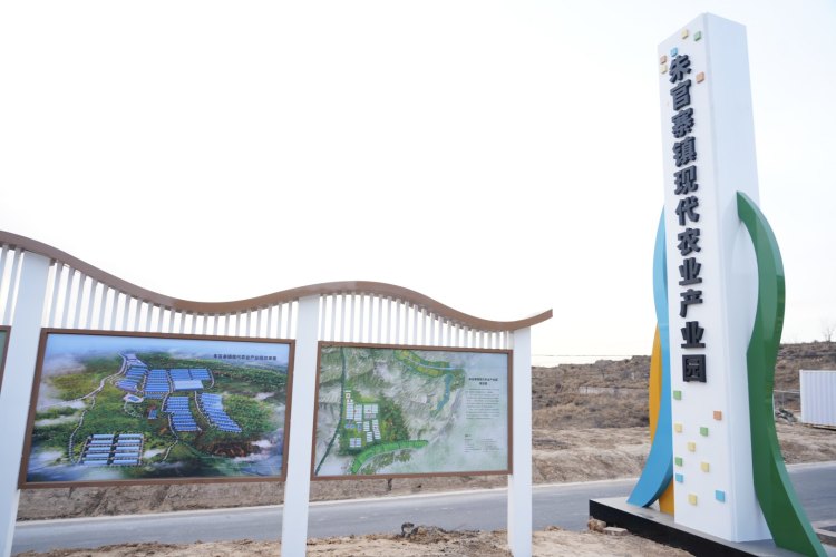 新春走基层 | 佳县朱官寨镇：让产业之花在黄土高原绽放