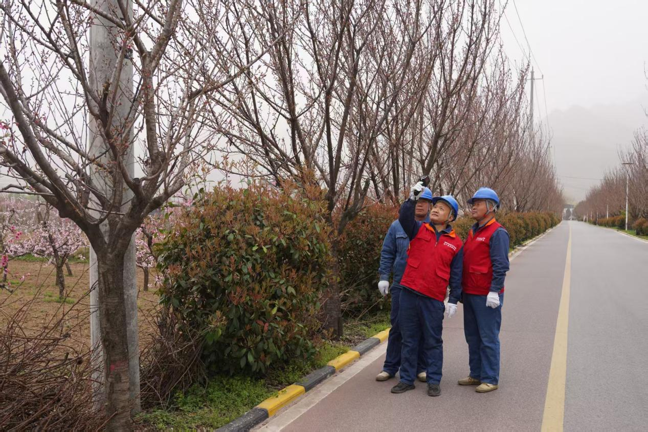 国网西安市长安区供电公司：顶风逆行护银线 线路巡视保安全_fororder_图片1