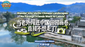 【“中国游记”第二季㉕】当老外闯进中国田园画卷，直接不想走了！_fororder_微信图片_〉〇〉」-〇《-〉》_〈》》《〈『_》「『