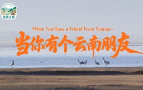【澜湄之窗】短视频宣传片①：当你有个云南朋友