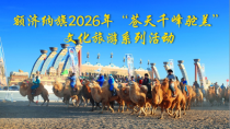 视频直播_fororder_微信图片_20260424093411_2318_766