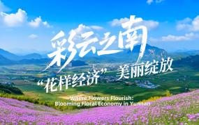 【从云南出发】彩云之南 “花样经济”美丽绽放_fororder_彩云之南 “花样经济”美丽绽放