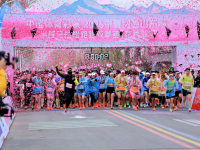 2026宁夏贺兰山东麓半程马拉松路跑双季赛（花季赛）鸣枪开跑