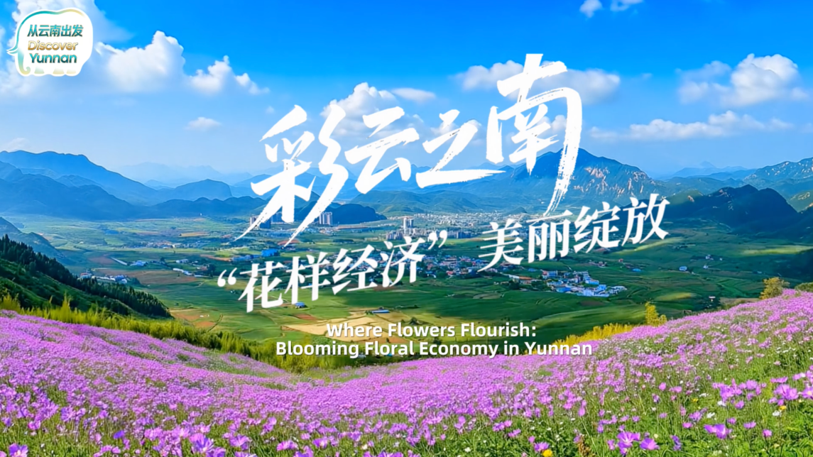【从云南出发】彩云之南 “花样经济”美丽绽放_fororder_彩云之南 “花样经济”美丽绽放