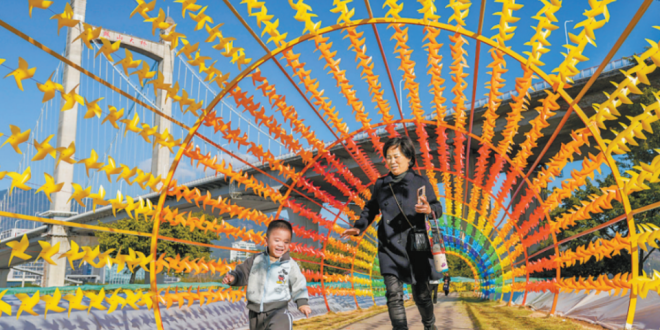 福州花海公园升级 彩虹风车长廊受欢迎