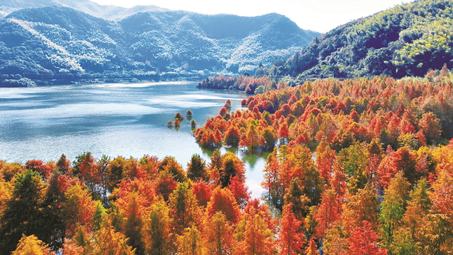 浙江宁波：大美堇山湖