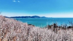 葫芦岛：面朝大海 春暖花开