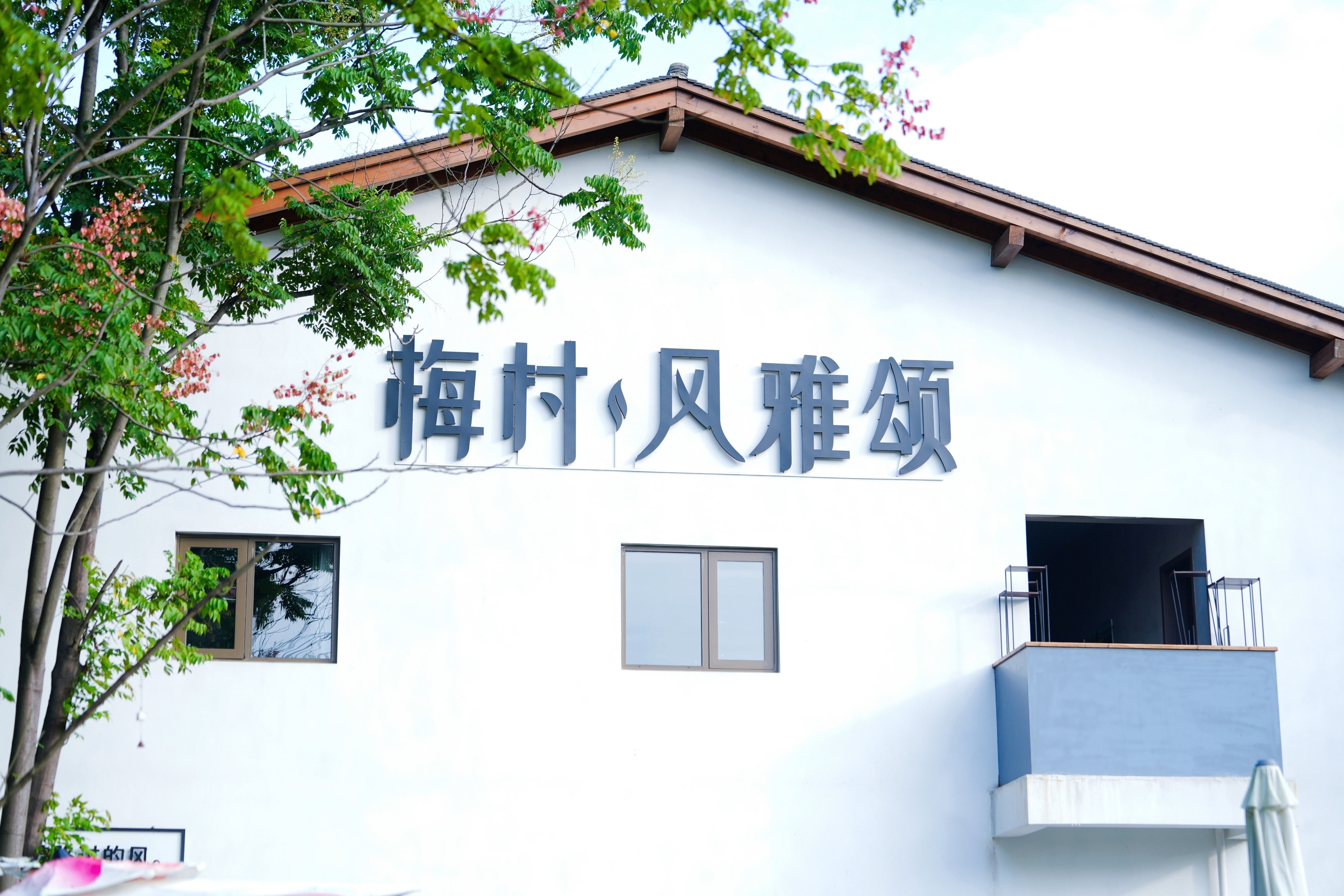 【2024打卡中国】从一粒米的故事开始 外国网红听稻花香里说丰年（组图）