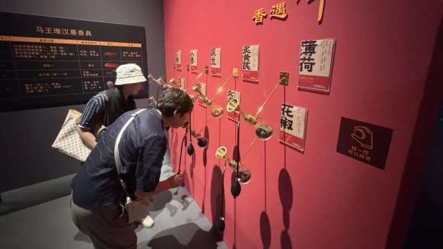 视频里的“北京范儿”——大葆台遗址博物馆来了网络大V联盟_fororder_图片7