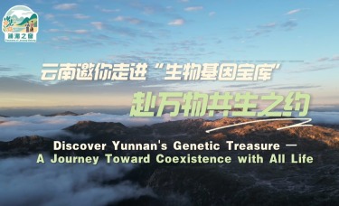 【澜湄之窗】云南邀你走进“生物基因宝库”，赴万物共生之约_fororder_ef6c8a4826d8258a82483e29d6f1cfbe