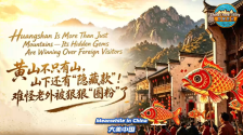 【“中国游记”第二季㊺】黄山不只有山，山下还有“隐藏款”！难怪老外被狠狠“圈粉”了_fororder_微信图片_20260527133507_1137_127