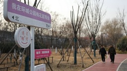 河南开封：梅花飘香古城美