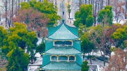 武汉东湖雪景美如画