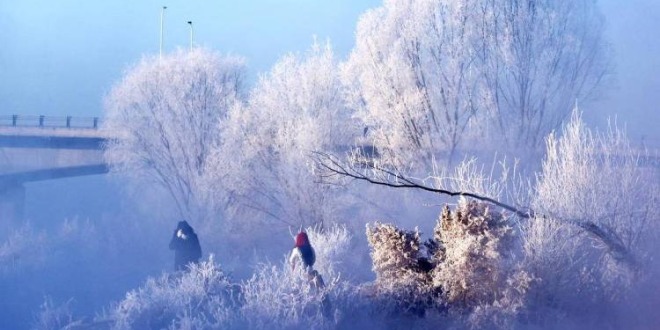 童话世界！大凌河雾凇如梦如幻