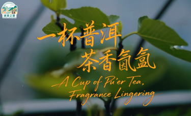 【澜湄之窗】一杯普洱 茶香氤氲_fororder_d5be1fdd38b208eca7d500976dc8efd6