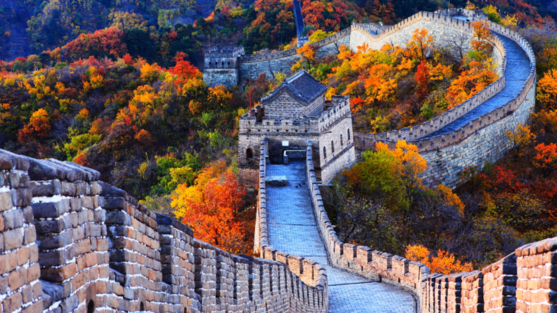 图片默认标题_fororder_正文800