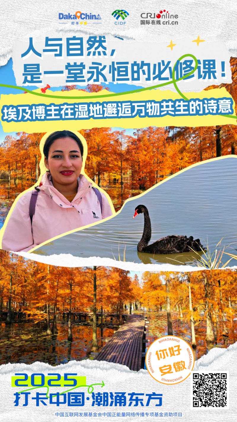 【2025打卡中国】人与自然，是一堂永恒的必修课！埃及博主在湿地邂逅万物共生的诗意（海报）_fororder_亮点海报3