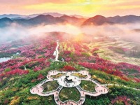 浙江宁波：樱漫杖锡