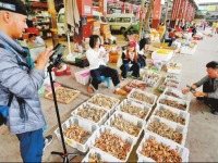 云南昆明：山珍初上市 鲜香引客来