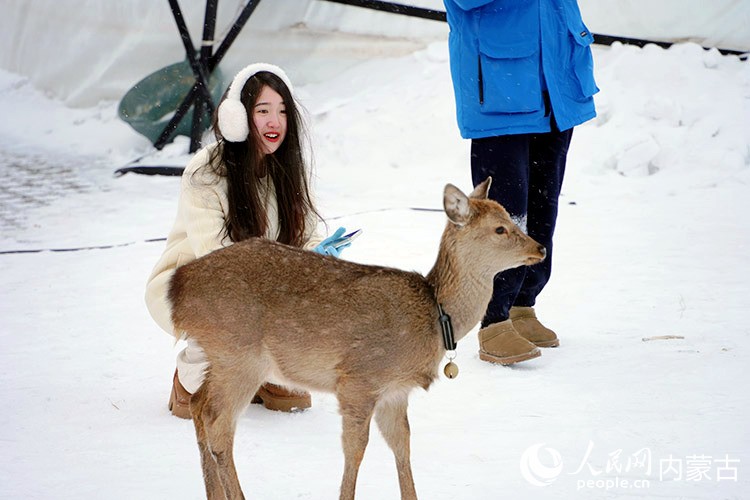 内蒙古呼伦贝尔:穿越大雪原 天天那达慕 内蒙古呼伦贝尔:穿越大雪原 天天那达慕