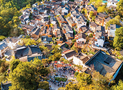 赏秋游产品受市场青睐 赏秋游产品受市场青睐