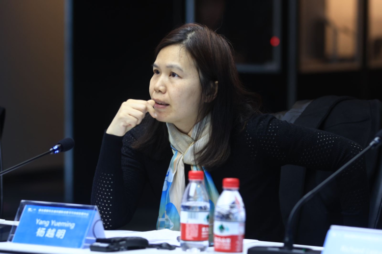 聚焦未来数字新空间 创意中心咨询委员会在京举行 Se concentrer sur l'avenir des nouveaux espaces numériques : tenue de la réunion du comité consultatif de l'ICCSD à Beijing   与会专家和工作人员合影 Photo de groupe des experts et du personnel présents  2025年3月30日，联合国教科文组织国际创意与可持续发展中心（下文简称“创意中心”）咨询委员会会议在北京设计之都大厦召开。咨询委员们和与会嘉宾围绕“创新未来数字新空间，加强可持续发展和文化表达”主题进行了深入讨论，并为创意中心工作计划与国际资源拓展建言献策。 Le 30 mars 2025, le Conseil consultatif du Centre international pour la créativité et le développement durable de l'UNESCO (ci-après dénommé « ICCSD ») s'est réuni au bâtiment World Design Capital à Beijing. Les membres du comité consultatif et les invités présents ont eu des discussions approfondies autour du thème « Innover dans les nouveaux espaces numériques du futur, renforcer le développement durable et l'expression culturelle », et ont proposé des suggestions pour le plan de travail de l'ICCSD et l'expansion des ressources internationales.   会议现场 Site de la réunion  创意中心执行主任肖澜，创意中心咨询委员会主席、华南理工大学荣誉教授汉斯·道维勒主持会议。全球文化网络总裁、华南理工大学与山东工艺美术学院客座教授梅里·马达沙希，英国皇家学会工艺院院士、海南大学客座教授李诚，世界贸易网点联盟亚太区总干事卡洛琳娜·昆塔娜，奥地利林茨电子艺术中心艺术节与展览部总经理维罗妮卡•利布尔，中国社会科学院研究员、中国政策科学研究会文化政策专业委员会主任张晓明，北京师范大学文化创新与传播研究院副院长杨越明教授，中国中小商业企业协会国际专家委员、中国前驻法国领事杨宝珍，对外经济贸易大学马克思主义学院院长助理王宇航教授等来自6个国家的10位咨询委员和专家出席会议。 Xiao Lan, directeur exécutif de l'ICCSD, et Hans d'Orville, président du comité consultatif de l'ICCSD et professeur émérite à l'Université de technologie du Sud de la Chine, ont présidé la réunion. Dix experts et membres du comité consultatif issus de six pays ont assisté à la réunion, parmi lesquels : le Professeur Mehri Madarshahi, présidente de Global Culture Network et professeur invitée à l'Université de technologie du Sud de la Chine et à l'Université d'art et de design du Shandong, le Professeur Richard Leaver, membre de Royal Society of Arts et professeur invité à l'Université de Hainan, Carolina Quintana, directrice générale pour la région Asie-Pacifique de World Trade Point Federation, Veronika Liebl, directrice générale de la division des festivals, des prix et des expositions du centre Ars Electronica de Linz en Autriche, Zhang Xiaoming, chercheur à l'Académie chinoise des sciences sociales et directeur du Comité des politiques culturelles de l'Association chinoise des sciences politiques, le Professeur Yang Yueming, directrice adjointe de l'Institut d'innovation culturelle et de communication de l'Université normale de Beijing, Yang Baozhen, membre expert international de l'Association chinoise des petites et moyennes entreprises commerciales, et ancienne consule générale de Chine en France, et le Professeur Wang Yuhang, adjoint au directeur de l'École du marxisme de l'Université de commerce international et d'économie.   创意中心执行主任肖澜致辞 Discours de Xiao Lan, directeur exécutif de l'ICCSD  肖澜主任在致辞中表示，感谢与会嘉宾对中心主办的第四届创意2030国际论坛的大力支持，专家们的精彩发言为数字时代的文化多样性保护提供了重要启示。本次咨询委员会围绕“创新未来数字空间”主题展开探讨，这一重要命题需要各方协作共同推进，创意中心愿为此搭建交流互鉴的桥梁。同时，肖澜表示，创意中心未来将深化使命定位，期待持续得到专家们的支持与合作。 Dans son discours, Xiao Lan a exprimé sa gratitude envers les invités présents pour leur soutien à la 4e édition de « Forum international de la créativité 2030 » organisé par l'ICCSD, soulignant que les interventions des experts avaient fourni des éclairages importants pour la protection de la diversité culturelle à l'ère numérique. Le comité consultatif a centré ses discussions sur le thème « Innover dans les espaces numériques du futur », un sujet clé nécessitant la collaboration de toutes les parties prenantes. Xiao Lan a affirmé que l'ICCSD était disposé à jouer un rôle de passerelle pour l'échange et l'apprentissage mutuel. Il a précisé que l'ICCSD allait approfondir sa mission et qu'il attendait avec impatience un soutien et une coopération continus de la part des experts.    创意中心咨询委员会主席、华南理工大学荣誉教授汉斯·道维勒发言 Discours de Hans d'Orville, président du comité consultatif de l'ICCSD et professeur émérite à l'Université de technologie du Sud de la Chine   汉斯·道维勒主持会议并作主旨发言。他强调了“未来数字空间”对可持续发展、文化创意及文化表达多样性的重要意义，指出数字技术与文化的融合能够推动产业遗产复兴，促进城市可持续发展，为艺术家、工程师等不同领域人才搭建创新合作平台。他特别提及科幻不仅是娱乐载体，更是激发想象力的文化表达方式，呼应了联合国教科文组织对文化多样性保护的倡导。 Hans d'Orville a présidé la réunion et a prononcé le discours d'ouverture. Il a souligné l'importance des « espaces numériques du futur » pour le développement durable, la créativité culturelle et la diversité de l'expression culturelle, précisant que la fusion des technologies numériques et de la culture pourrait stimuler la renaissance du patrimoine industriel, promouvoir le développement durable des villes et créer une plateforme de collaboration innovante pour les artistes, ingénieurs et autres talents issus de divers domaines. Il a particulièrement évoqué le rôle de la science-fiction, non seulement en tant que moyen de divertissement, mais aussi en tant que forme d'expression culturelle qui stimulait l'imagination, répondant ainsi à l'appel de l'UNESCO pour la protection de la diversité culturelle.   全球文化网络总裁、华南理工大学与山东工艺美术学院客座教授梅里·马达沙希发言 Discours de Mehri Madarshahi, présidente de Global Culture Network et professeur invitée à l'Université de technologie du Sud de la Chine et à l'Université d'art et de design du Shandong  会上，众多专家结合自身专业领域分享了深刻见解。梅里·马达沙希指出，数字空间已成为人类生活的基础环境，数字创新应服务于价值导向。她详细介绍了阐述了数字空间对实现联合国可持续发展目标的关键作用，同时列举了在目标4优质教育、目标8体面就业和经济增长、目标11城市可持续发展、目标13气候行动等多个领域的具体应用案例，强调科技创新需与可持续发展目标紧密结合，同时注重包容性和伦理规范。梅里·马达沙希表示，每次技术进步都须指向更公平、繁荣的世界愿景。 Lors de la réunion, de nombreux experts ont partagé des réflexions approfondies en fonction de leurs domaines d'expertise respectifs. Mehri Madarshahi a souligné que l'espace numérique est devenu un environnement fondamental de la vie humaine et que l'innovation numérique devait être orientée par des valeurs. Elle a présenté en détail le rôle clé de l'espace numérique dans la réalisation des Objectifs de développement durable des Nations Unies. Elle a aussi cité des exemples concrets d'application dans plusieurs domaines, notamment l'objectif 4 sur l'éducation de qualité, l'objectif 8 sur le travail décent et la croissance économique, l'objectif 11 sur les villes et communautés durables et l'objectif 13 sur la lutte contre les changements climatiques. Elle a insisté sur la nécessité de lier étroitement l'innovation technoscientifique aux objectifs de développement durable, tout en mettant l'accent sur l'inclusion et l'éthique. Mehri Madarshahi a souligné que chaque avancée technologique devait servir une vision d'un monde plus équitable et prospère.   奥地利林茨电子艺术中心艺术节与展览部总经理维罗妮卡•利布尔发言 Discours de Veronika Liebl, directrice générale de la division des festivals, des prix et des expositions du centre Ars Electronica de Linz en Autriche  维罗妮卡·利布尔结合奥地利林茨从钢铁之都到联合国教科文组织媒体艺术之都的城市发展转型实践，分享了在数字环境下塑造未来艺术空间的战略路径。她提出，应促进文化组织间的合作，展示多样化的文化表达成果，通过跨领域协作推动社会效益；加强学术界与文化机构的联动合作，推动创新项目发展；重视艺术表达对科技创新的催化作用，鼓励跨学科交流。 Veronika Liebl a partagé l'expérience de la transformation urbaine de Linz, qui est passée d'une ville sidérurgique à une ville des arts numériques désignée par l'UNESCO. Elle a exposé des pistes stratégiques pour façonner l'espace artistique du futur dans un environnement numérique. Elle a proposé de renforcer la coopération entre les organisations culturelles afin de valoriser la diversité des expressions culturelles et d'accroître les bénéfices sociaux grâce à la collaboration interdisciplinaire. Ensuite, elle a suggéré de renforcer les liens entre le monde académique et les institutions culturelles pour favoriser le développement de projets innovants. Enfin, elle a souligné le rôle catalyseur de l'expression artistique dans l'innovation technologique et a encouragé les échanges interdisciplinaires.   著名导演、上海交通大学教授胡雪桦视频发言 Discours en visioconférence de Hu Xuehua, célèbre réalisateur et professeur à l'université Jiao Tong de Shanghai  著名导演、上海交通大学教授胡雪桦通过视频发言。胡雪桦导演从影视创作角度剖析AI时代的技术变革。他指出，未来数字电影将为电影行业格局带来巨大变化。针对教育领域，他强调学生需重视基础认知构建，培养信息甄别与自我管理能力，同时积极拥抱人工智能技术，既要理解科学技术的底层逻辑，更需将其转化为文化创作工具。 Hu Xuehua, célèbre réalisateur et professeur à l'Université Jiao Tong de Shanghai, est intervenu par message vidéo. Il a analysé les transformations technologiques à l'ère de l'intelligence artificielle (IA) sous l'angle de la création cinématographique. Il a souligné que le cinéma numérique du futur entraînerait de profonds bouleversements dans l'industrie cinématographique. Concernant l'éducation, il a insisté sur la nécessité, pour les étudiants, de construire une base cognitive solide, de développer leur capacité à trier l'information et à gérer leur apprentissage de manière autonome. Il a également encouragé une adoption active des technologies de l'IA, tout en insistant sur l'importance de comprendre la logique sous-jacente des sciences et technologies, et de les transformer en outils de création culturelle.   英国皇家学会工艺院院士、海南大学客座教授李诚发言 Discours du Professeur Richard Leaver, membre de Royal Society of Arts et professeur invité à l'Université de Hainan  李诚教授探讨了未来数字空间与物理空间的融合趋势，以及如何运用数字孪生等技术推动可持续发展的路径。他建议北京充分利用文化底蕴深厚、人工智能行业领先和创意产业集积聚等优势，加强文化与科技的协同联动，构建数字化智慧城市，以应对城市发展挑战。同时他强调，在发展生成式人工智能时还应重视保护传统文化，以实现数字创新与传统智慧的共生共荣。 Le professeur Richard Leaver a exploré la tendance à l'intégration entre l'espace numérique du futur et l'espace physique, ainsi que les moyens d'utiliser des technologies comme le jumeau numérique pour favoriser le développement durable. Il a suggéré que Beijing exploitait pleinement ses atouts, notamment son riche patrimoine culturel, sa position de leader dans l'industrie de l'IA, ainsi que son écosystème dynamique dans l'industrie créative. Il a également préconisé un renforcement de la synergie entre culture et technologie pour construire une ville intelligente et numérique capable de relever les défis du développement urbain. De plus, il a souligné l'importance de préserver les cultures traditionnelles dans le développement de l'IA générative, afin de garantir une cohabitation harmonieuse entre l'innovation numérique et la sagesse traditionnelle.   北京师范大学文化创新与传播研究院副院长杨越明教授发言 Discours du Professeur Yang Yueming, directrice adjointe de l'Institut d'innovation culturelle et de communication de l'Université normale de Beijing  杨越明教授结合开展2005年《保护和促进文化多样性公约》相关项目经验，深入分析了可持续发展框架下文化发展的挑战：一是需要明确化文化对社会经济的贡献；二是厘清“文化多样性”与“文化表达多样性”的区别，前者强调保护多元存在，后者侧重技术赋能下的创新呈现方式。她强调了创意中心在此领域的目标和使命，希望能够促进提升数字时代文化价值认知，同时普及数字工具，搭建技术专家与艺术家的协作平台。 Se basant sur son expérience dans la mise en œuvre de projets liés à la Convention sur la protection et la promotion de la diversité des expressions culturelles de 2005, le Professeur Yang Yueming a analysé les défis du développement culturel dans le cadre du développement durable. Premièrement, elle a souligné la nécessité de clarifier la contribution de la culture au développement socio-économique. Deuxièmement, elle a distingué les notions de « diversité culturelle » et de « diversité des expressions culturelles » : la première met l'accent sur la préservation de la pluralité des cultures, tandis que la seconde se concentre sur l'innovation dans la présentation des expressions culturelles grâce aux technologies. Elle a mis l'accent sur les objectifs et la mission de l'ICCSD, qui vise à améliorer la reconnaissance de la valeur culturelle à l'ère numérique, et a exprimé l'espoir de voir se multiplier les plateformes collaboratives entre experts techniques et artistes, favorisant ainsi la démocratisation des outils numériques.   世界贸易网点联盟亚太区总干事卡洛琳娜·昆塔娜发言 Discours de Carolina Quintana, directrice générale pour la région Asie-Pacifique de World Trade Point Federation  卡洛琳娜·昆塔娜分享了国际组织视角下文化创意产业的发展情况。她高度评价中国在文化科技融合领域的实践，认为创意中心发起的创意2030国际论坛、数字环境下保护与促进文化多样性案例征集等活动能够对其他国家，尤其是拉丁美洲、非洲国家起到前沿借鉴作用。同时强调各国在技术水平和文化交流方面仍存在差距，她呼吁加强国际合作与经验分享，将中国数字文化发展模式纳入全球治理框架，促进全球文化创意产业的平衡发展。 Carolina Quintana a partagé son analyse sur le développement des industries culturelles et créatives du point de vue des organisations internationales. Elle a salué les pratiques de la Chine en matière d'intégration entre culture et technologie, estimant que des initiatives de l'ICCSD, telles que le Forum international Créativité 2030 et l'appel à projets sur la protection et la promotion de la diversité culturelle dans l'environnement numérique, pouvaient servir de référence pour d'autres pays, en particulier ceux d'Amérique latine et d'Afrique. En outre, elle a souligné les disparités persistantes entre les pays en matière de développement technologique et d'échanges culturels, appelant à un renforcement de la coopération internationale et du partage d'expériences. Elle a plaidé pour que le modèle chinois de développement de la culture numérique dans le cadre de la gouvernance mondiale afin de favoriser un développement équilibré des industries culturelles et créatives à l'échelle mondiale.   中国社会科学院研究员、中国政策科学研究会文化政策专业委员会主任张晓明发言 Discours de Zhang Xiaoming, chercheur à l'Académie chinoise des sciences sociales et directeur du Comité des politiques culturelles de l'Association chinoise des sciences politiques  张晓明研究员结合自身经历，讲述了首钢园的变迁，并从理论研究角度阐述了数字技术对文化数字化的深刻影响。他指出，未来数字空间将带来全新生活方式，应积极重视文化资源数字化的重要性，同时以云南多元文化生态和网络文学创作生态为例，揭示数字技术如何赋能全民文化生产。 Se basant sur sa propre expérience, le chercheur Zhang Xiaoming a relaté la transformation du parc Shougang et a expliqué, d'un point de vue théorique, l'impact profond des technologies numériques sur la numérisation de la culture. Il a souligné que l'espace numérique du futur engendrerait de nouveaux modes de vie et qu'il était crucial d'accorder une attention particulière à la numérisation des ressources culturelles. Il a illustré son propos à travers l'exemple de l'écosystème culturel diversifié du Yunnan et de la création littéraire en ligne, montrant comment les technologies numériques permettent à chacun de contribuer à la production culturelle.   中国中小商业企业协会国际专家委员、中国前驻法国领事杨宝珍发言 Discours de Yang Baozhen, membre expert international de l'Association chinoise des petites et moyennes entreprises commerciales, et ancienne consule générale de Chine en France   杨宝珍聚焦女性在数字时代的发展，介绍了数字技术在促进女性就业、教育、参与社会治理等方面的积极作用，并对未来数字空间建设提出了加强数字基础设施建设、文化资源数字化、培育“文化+科技”新业态、深化国际协作、完善数字治理机制等建议。 Yang Baozhen s'est concentrée sur le rôle des femmes à l'ère numérique, mettant en lumière l'impact positif des technologies numériques sur la promotion de l'emploi féminin, l'éducation féminine et leur participation à la gouvernance sociale. Elle a également formulé plusieurs recommandations pour la construction des futurs espaces numériques, notamment le renforcement des infrastructures numériques, la numérisation des ressources culturelles, le développement de nouveaux modèles commerciaux alliant culture et technologie, l'approfondissement de la coopération internationale et l'amélioration des mécanismes de gouvernance numérique.    对外经济贸易大学马克思主义学院院长助理王宇航教授发言 Discours du Professeur Wang Yuhang, adjoint au directeur de l'École du marxisme de l'Université de commerce international et d'économie   王宇航教授结合国际经贸与青年教育相关经验指出，传统课堂需从知识灌输转向价值创造，通过人文关怀激活学生情感认知，培养人工智能无法替代的创意内核。他建议高校联动城市资源打造经贸与人文融合的实践平台，并借助虚拟技术构建全球青年可持续发展交流网络，使学生在跨文化体验中理解创意与商业的共生逻辑。 Le Professeur Wang Yuhang, s'appuyant sur son expérience en commerce international et en éducation des jeunes, a souligné que l'enseignement traditionnel devait évoluer, passant d'une approche basée sur la transmission du savoir à une approche axée sur la création de valeur. Il a insisté sur l'importance de l'empathie humaine pour éveiller la perception émotionnelle des étudiants et développer une créativité essentielle, que l'intelligence artificielle ne pouvait remplacer. Il a suggéré que les universités collaboraient avec les ressources urbaines pour créer des plateformes pratiques intégrant commerce et culture. Il a aussi proposé d'utiliser la technologie virtuelle pour établir un réseau mondial d'échanges entre les jeunes sur le développement durable, afin de leur permettre de comprendre, à travers des expériences interculturelles, la relation symbiotique entre créativité et commerce.  此次咨询委员会会议为数字科技与文化创意的融合发展提供了广阔的交流平台，与会专家从不同角度，探索了构建未来数字新空间的实践路径。专家们的深入探讨为创意中心未来工作指明了方向，也为保护与促进文化多样性、全球可持续发展贡献了智慧与力量。创意中心下一步将与奥地利林茨电子艺术中心、世界贸易网点联盟加深合作。 Cette réunion du comité consultatif a offert une large plateforme d'échanges sur l'intégration de la technologie numérique et de la créativité culturelle. Les experts présents ont exploré, sous différents angles, les moyens pratiques de construire les nouveaux espaces numériques du futur. Leurs discussions approfondies ont non seulement orienté les actions futures de l'ICCSD, mais ont aussi contribué à la préservation et à la promotion de la diversité culturelle ainsi qu'au développement durable à l'échelle mondiale. Lors de la prochaine étape, l'ICCSD approfondira sa collaboration avec le centre Ars Electronica de Linz en Autriche, ainsi qu'avec World Trade Point Federation._fororder_9