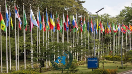 联合国环境规划署发布年度报告：2025年全球合作推动环境治理取得多项进展