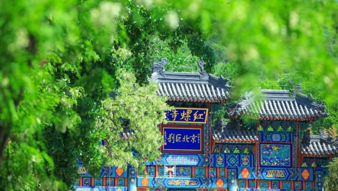 谷雨润万物，京味非遗烙绘春日风华