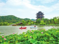 山西吕梁如意湖公园：荷花竞相绽放