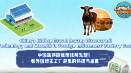 【“中国游记”第二季⑩】中国旅游隐藏玩法被发现！看外国博主工厂游里的科技与温度_fororder_微信图片_20251230112242_870_145