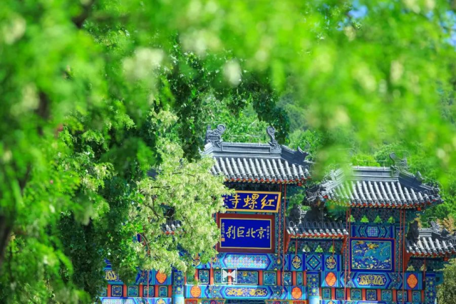 谷雨润万物，京味非遗烙绘春日风华_fororder_图片1