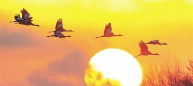 春润黔山生态美