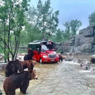 暑气蒸腾时，京味非遗带您品古琴清音里的悠然闲逸