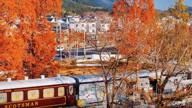黄山休宁齐云山：水杉大地艺术公路观景打卡正当时，初冬的浪漫在这里_fororder_1