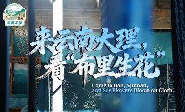 【澜湄之窗】来云南大理，看“布里生花”