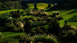 上海辰山植物园里观赏草铺陈出绚丽秋景