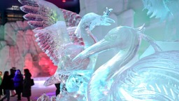 冰雪未消融 世界最大室内冰雪主题乐园重启