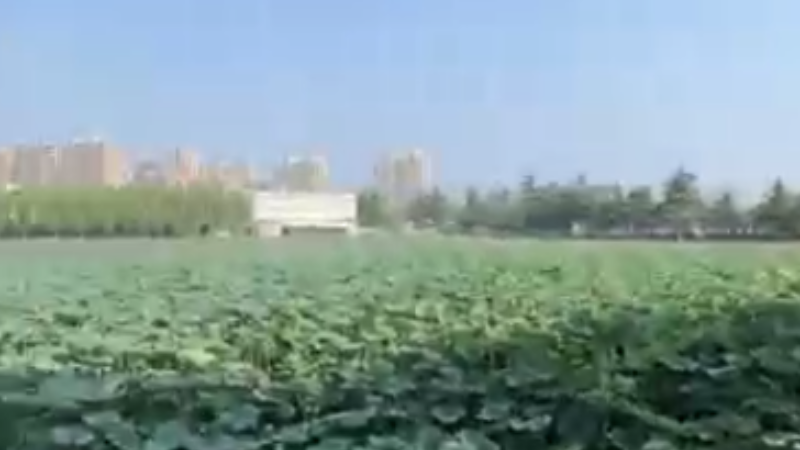 委内瑞拉视频博主拉斐尔打卡淮安 体验“运河之都”的繁华盛景_fororder_微信图片_〉〇〉」-〇〈-〇【_〈〈〇【〈〉_「「《