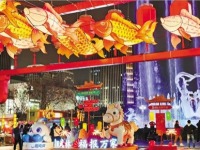 浙江杭州：多彩花灯映武林