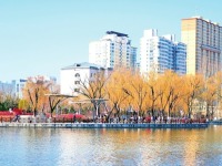 山西太原：乐享春日美好时光